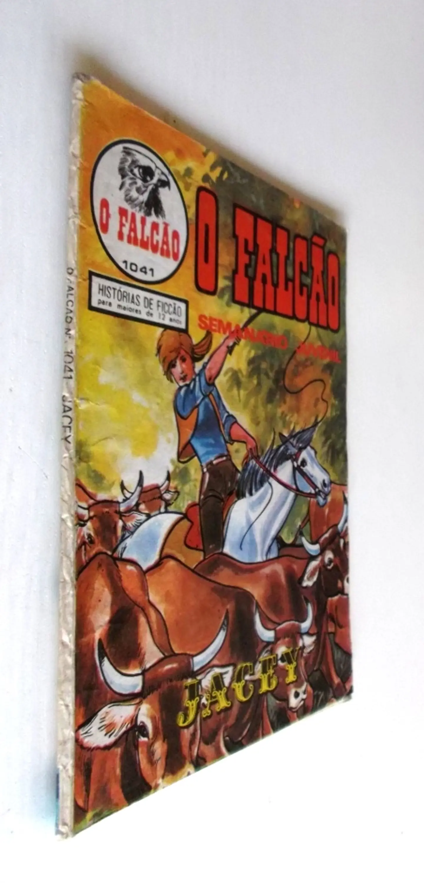 O Falcão 1041 3
