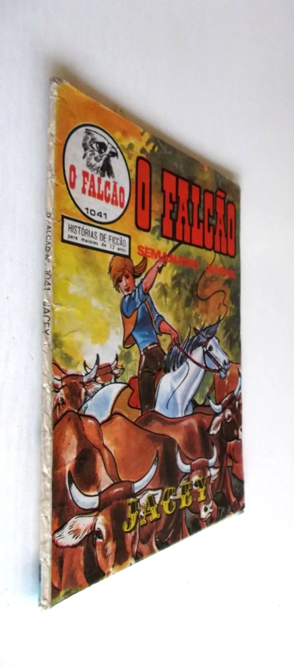 O Falcão 1041 3