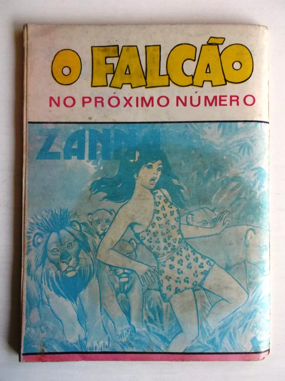O Falcão 1031 - Caribú 2