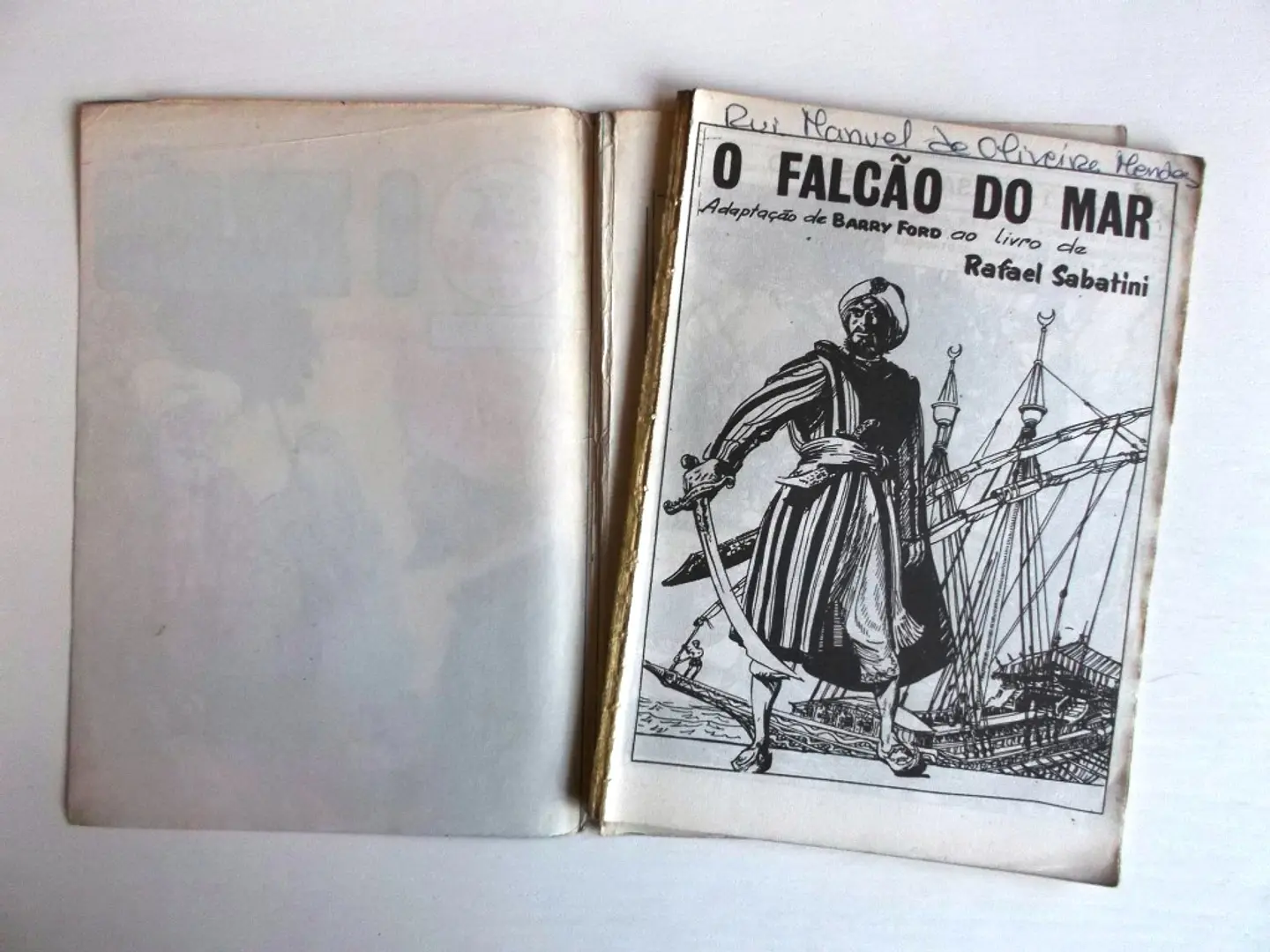 O Falcão 0956 4