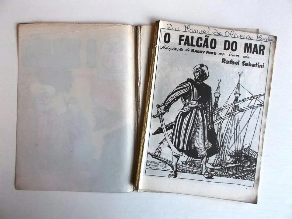 O Falcão 0956 4