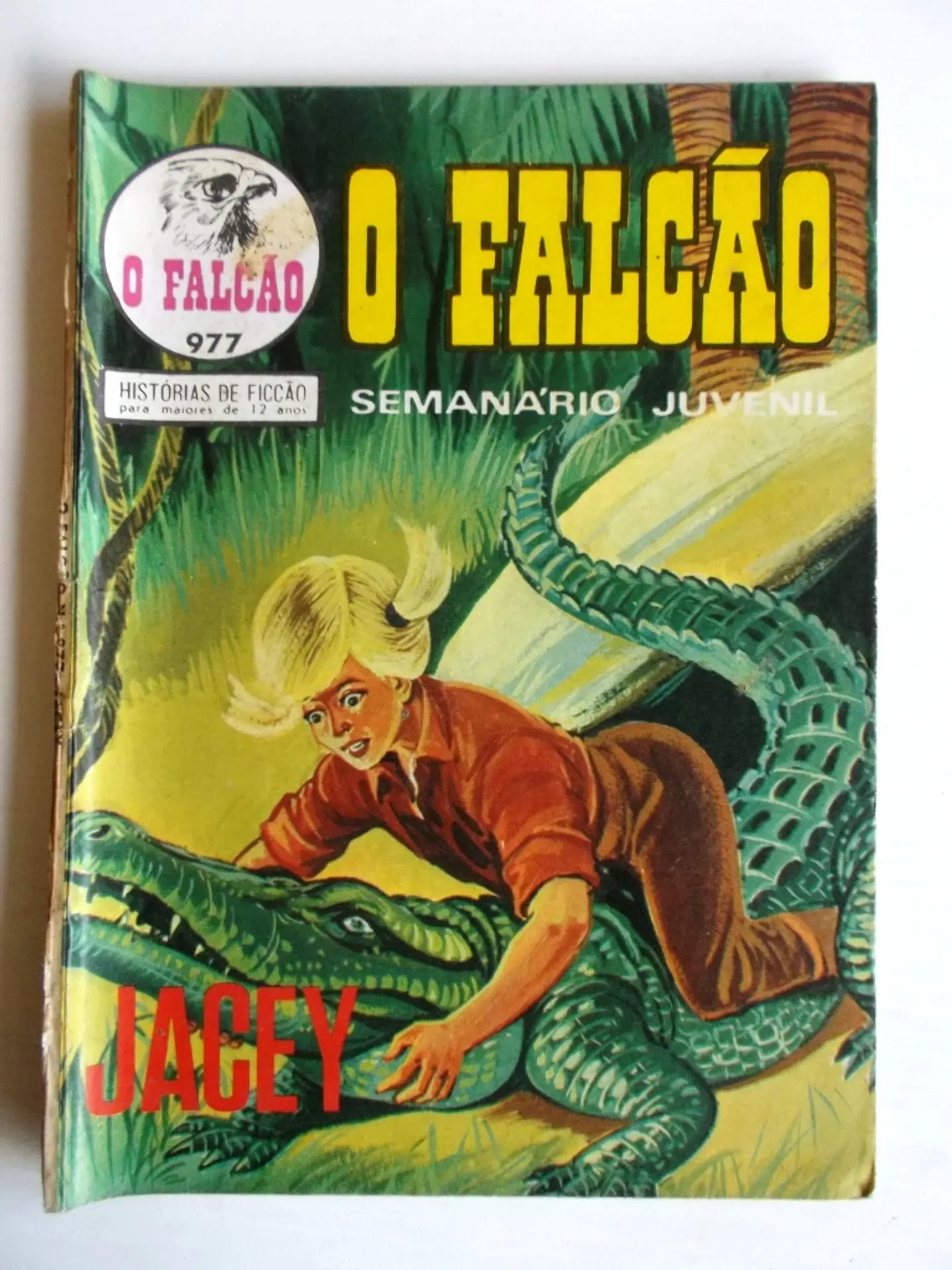 O Falcão 0977 1