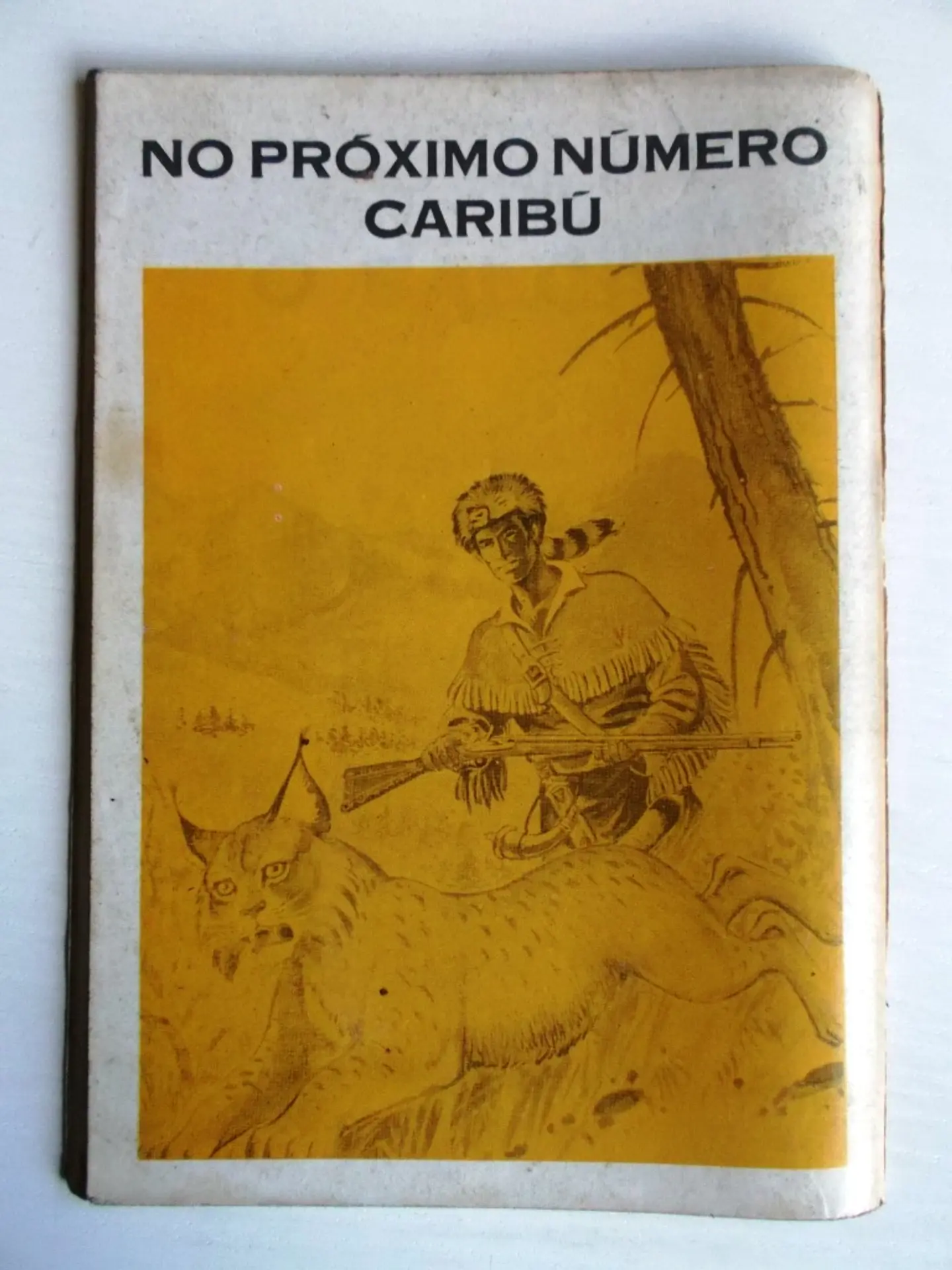 O Falcão 0977 2