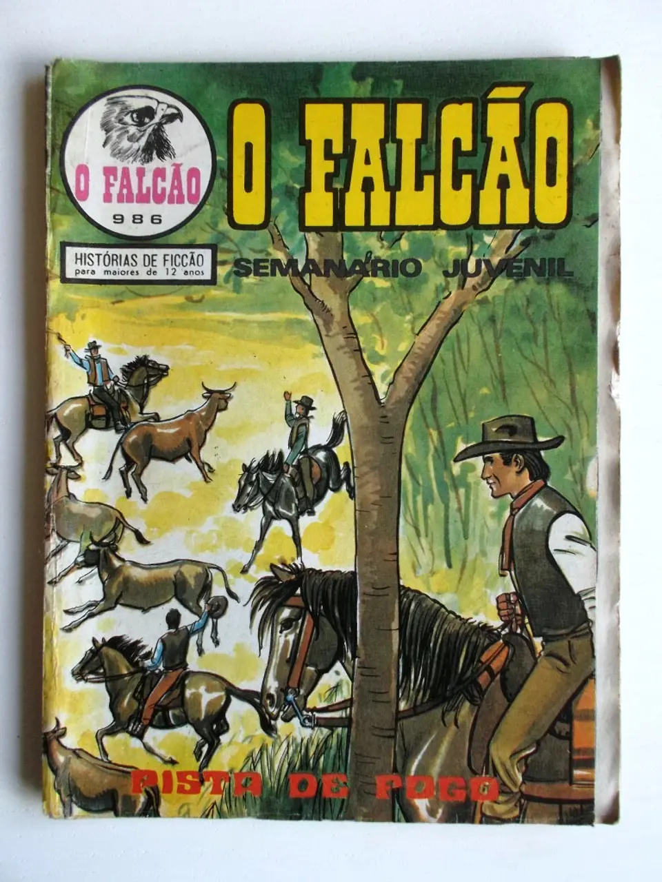 O Falcão 0986 1