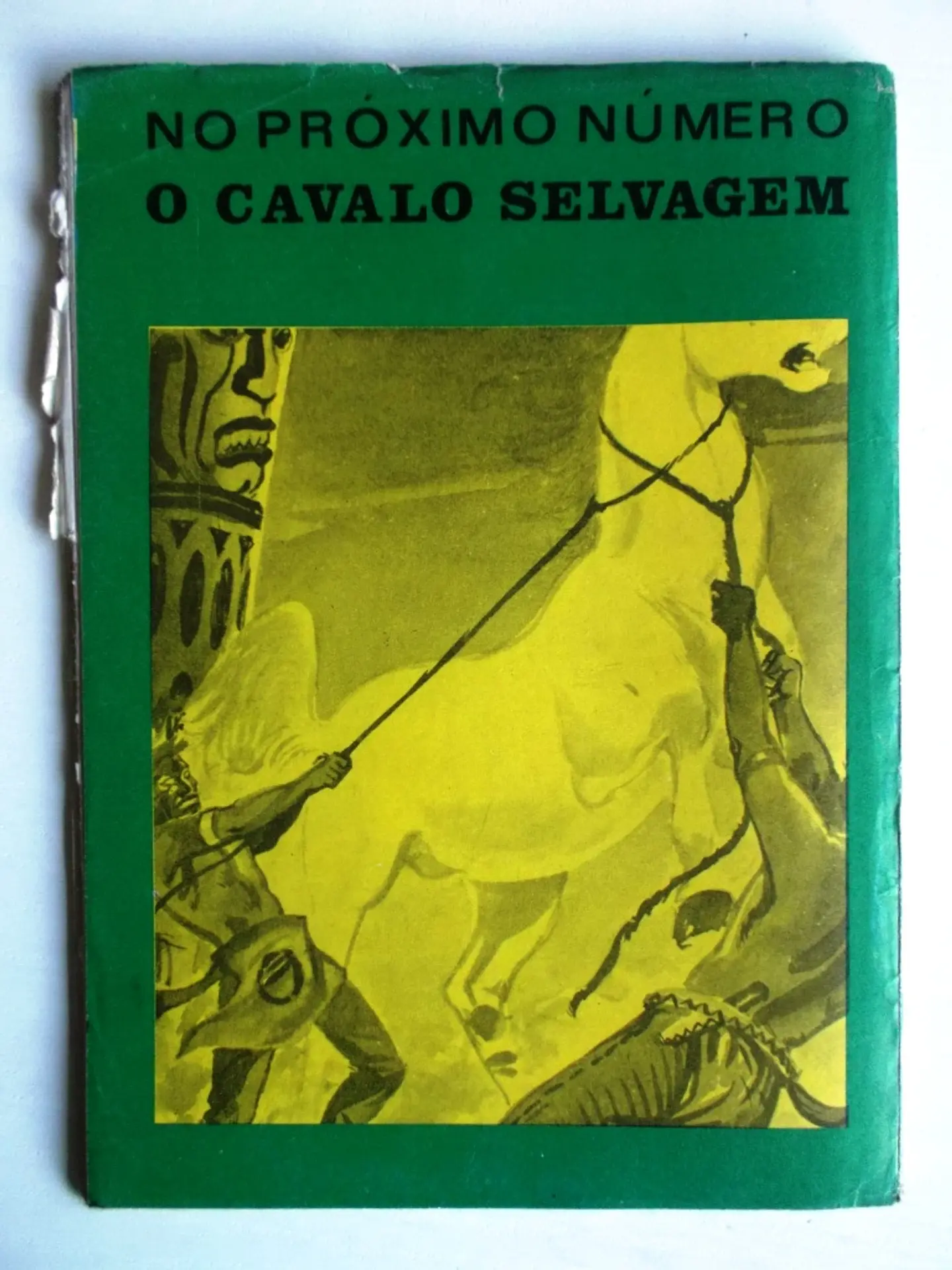 O Falcão 0987 2