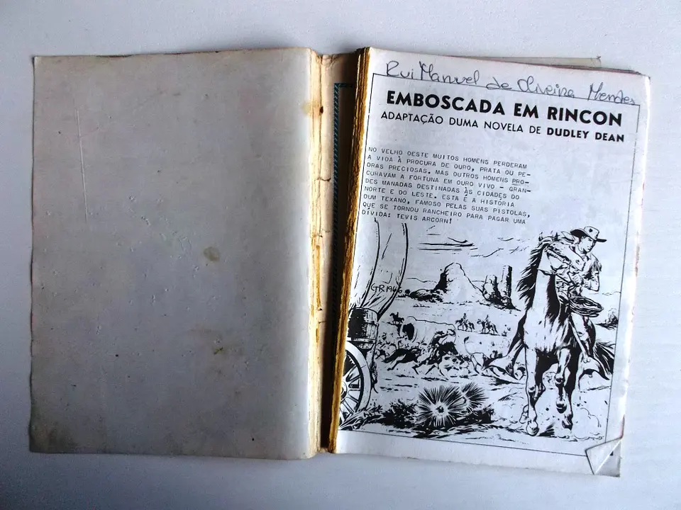 O Falcão 0990 4