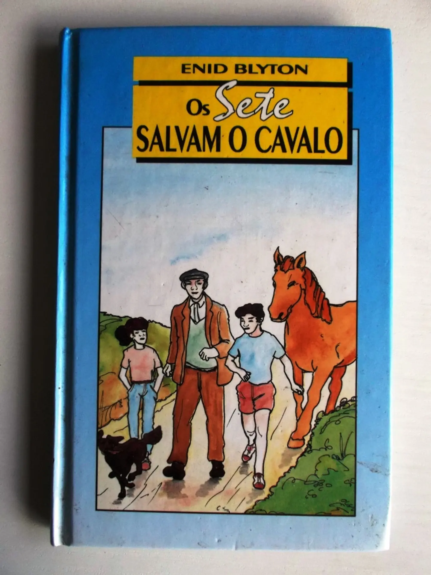 Os sete salvam o cavalo 1