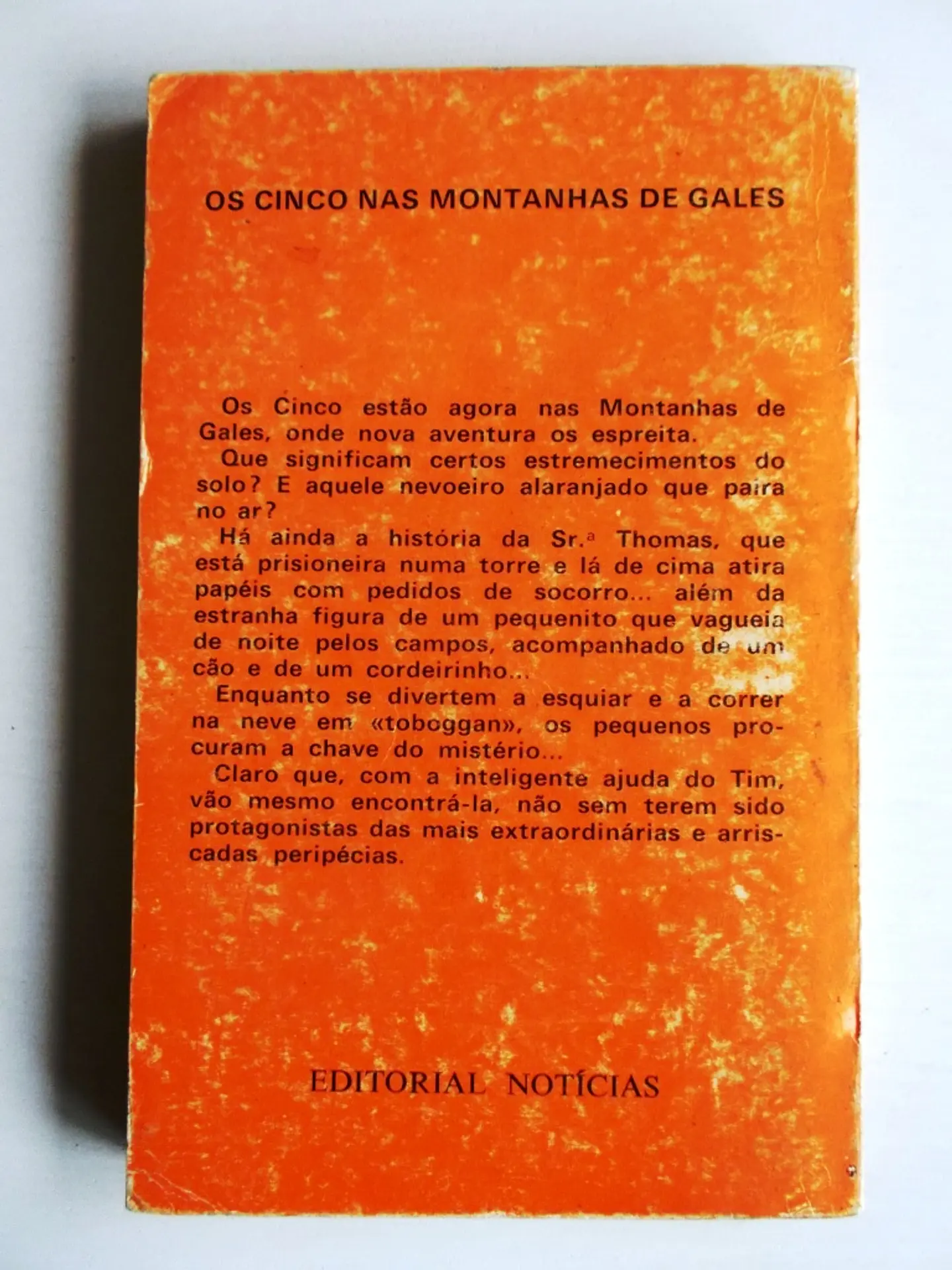 Os cinco nas montanhas de Gales 2
