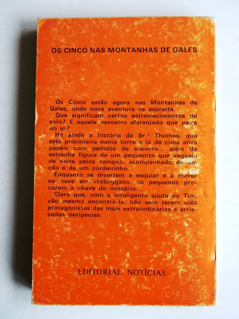 Os cinco nas montanhas de Gales 2