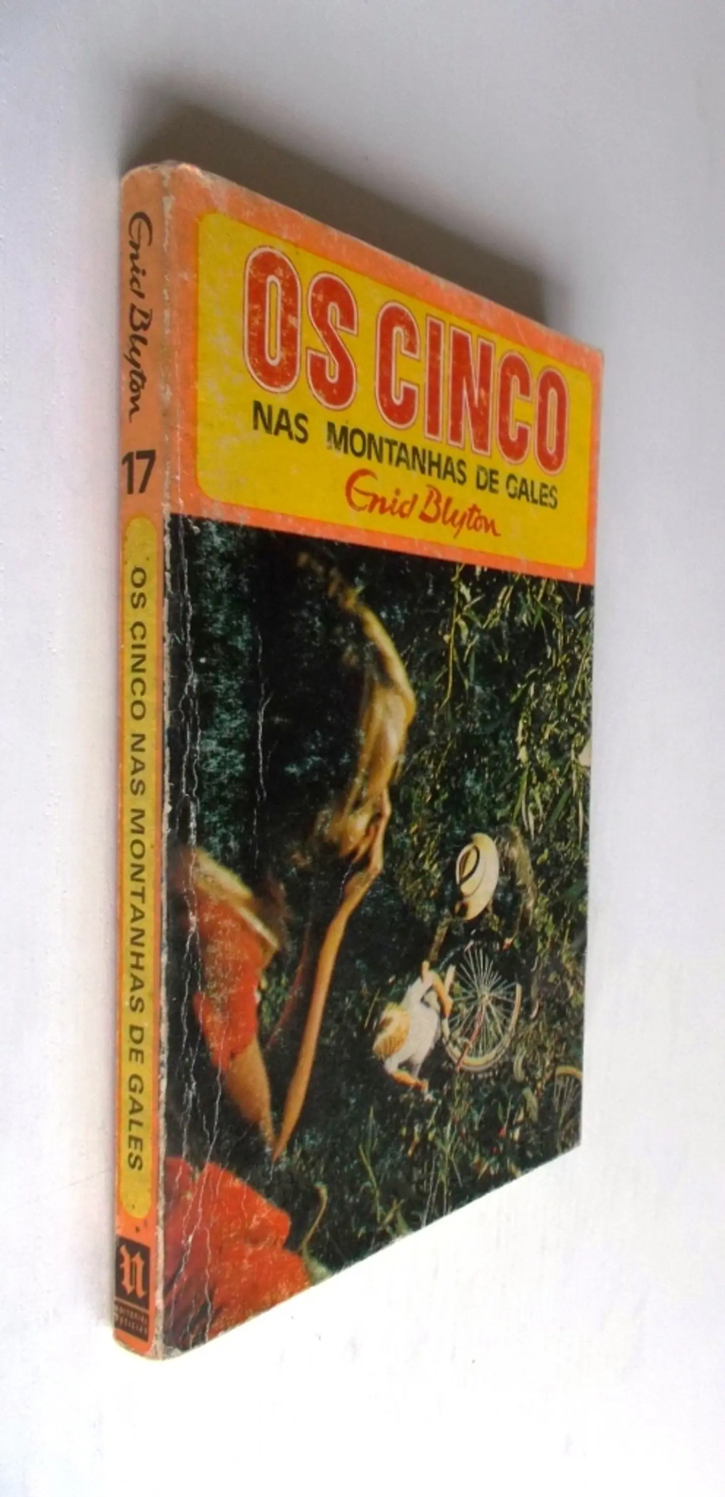 Os cinco nas montanhas de Gales 3
