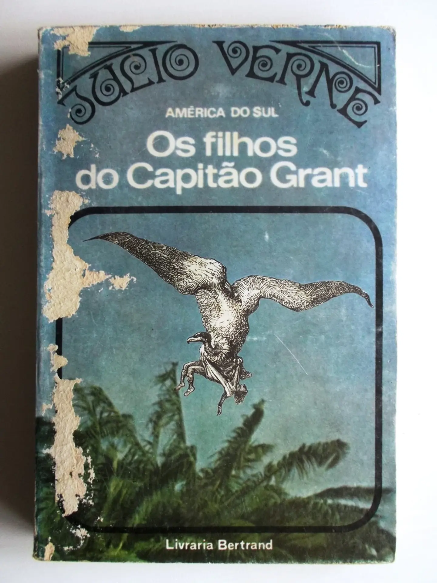 Os Filhos do Capitão Grant 1