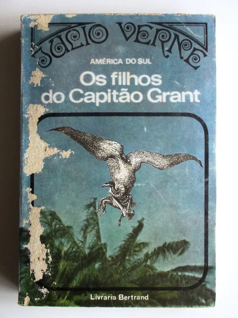 Os Filhos do Capitão Grant 1