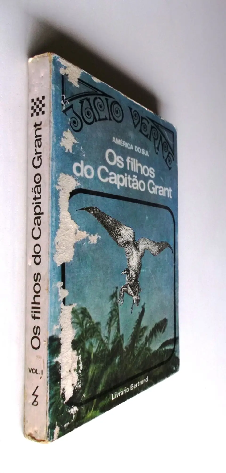 Os Filhos do Capitão Grant 3