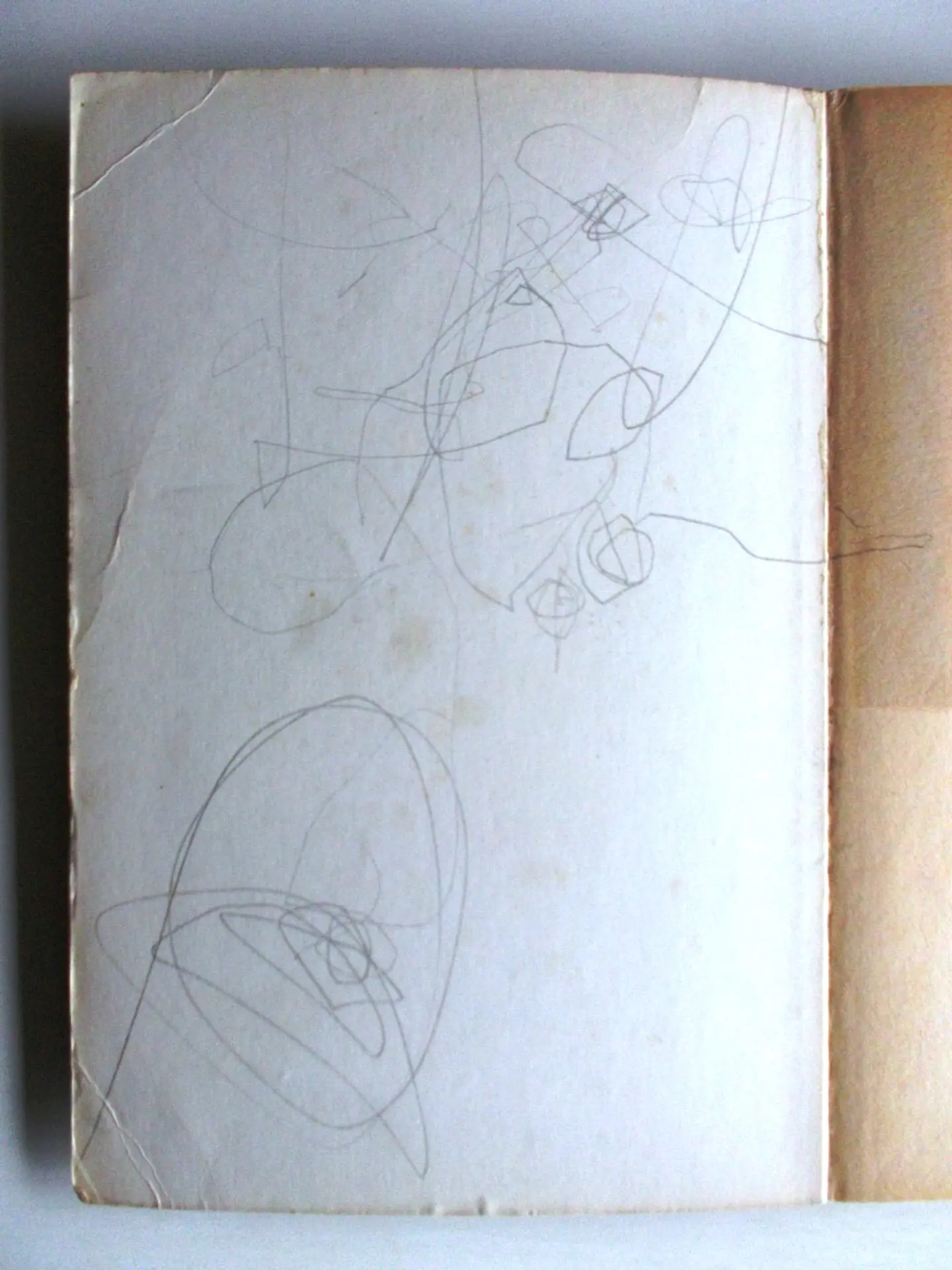 Diario de um adolescente com a mania da saúde 4