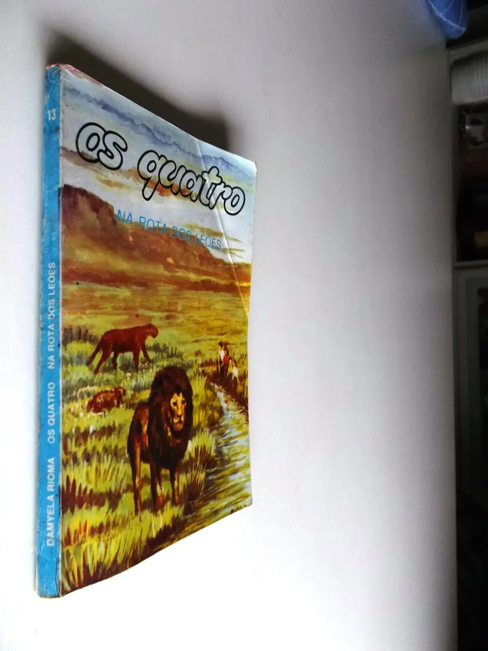 Os quatro na rota dos leões 3