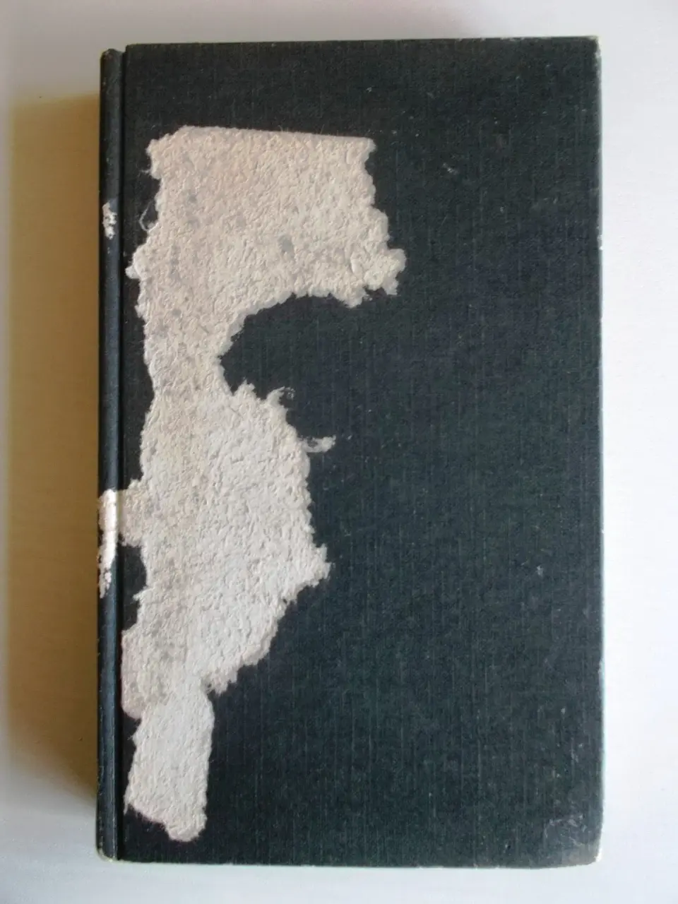 O Executor - Thomas Perry 1