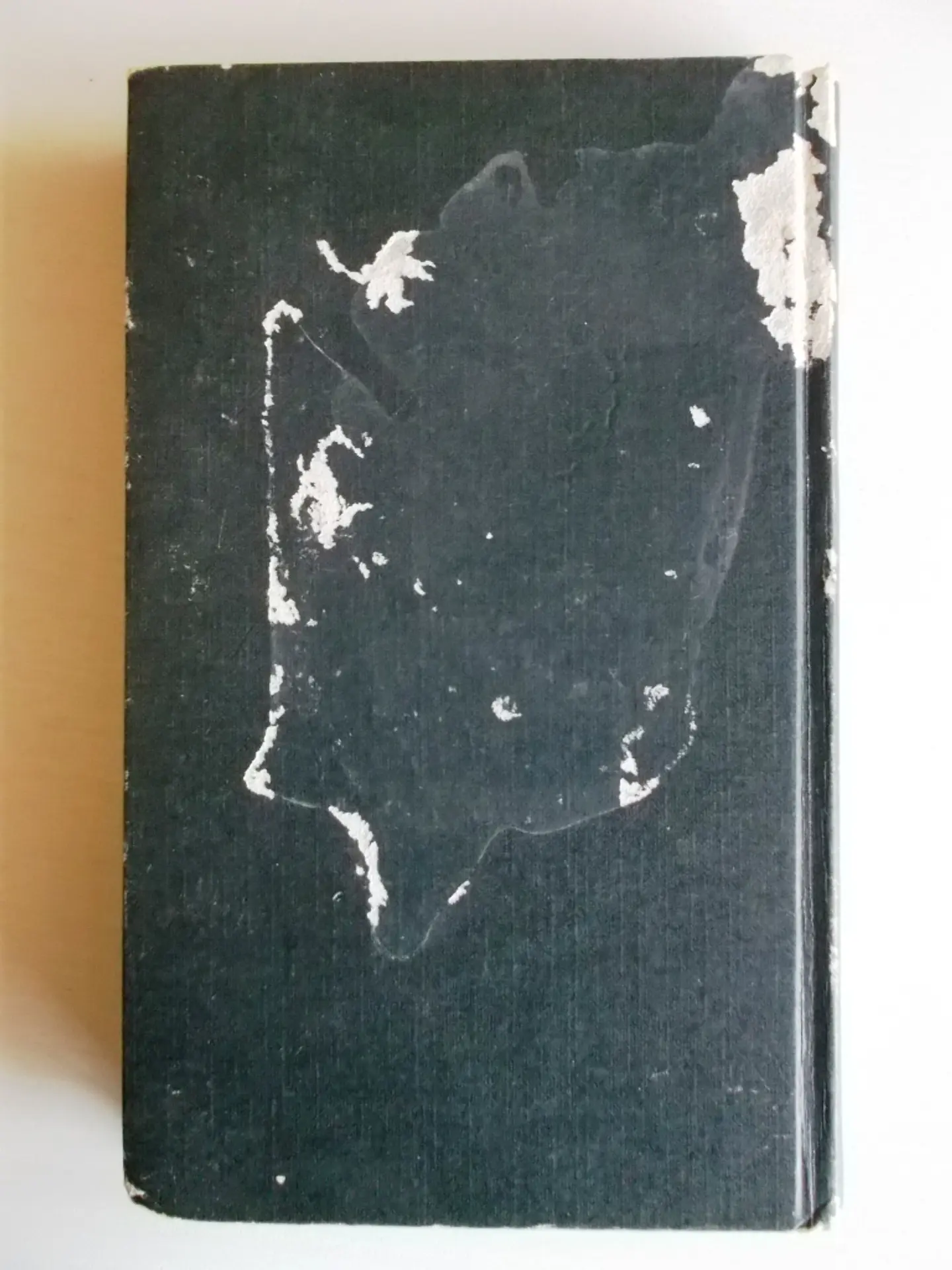 O Executor - Thomas Perry 2