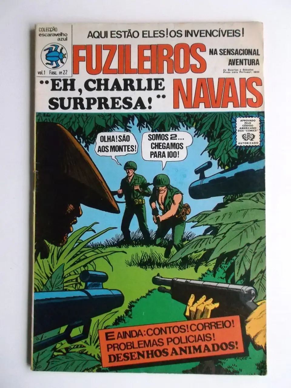 Escaravelho Azul 22 1