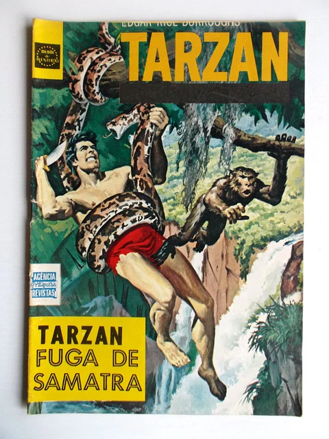 Tarzan 37
