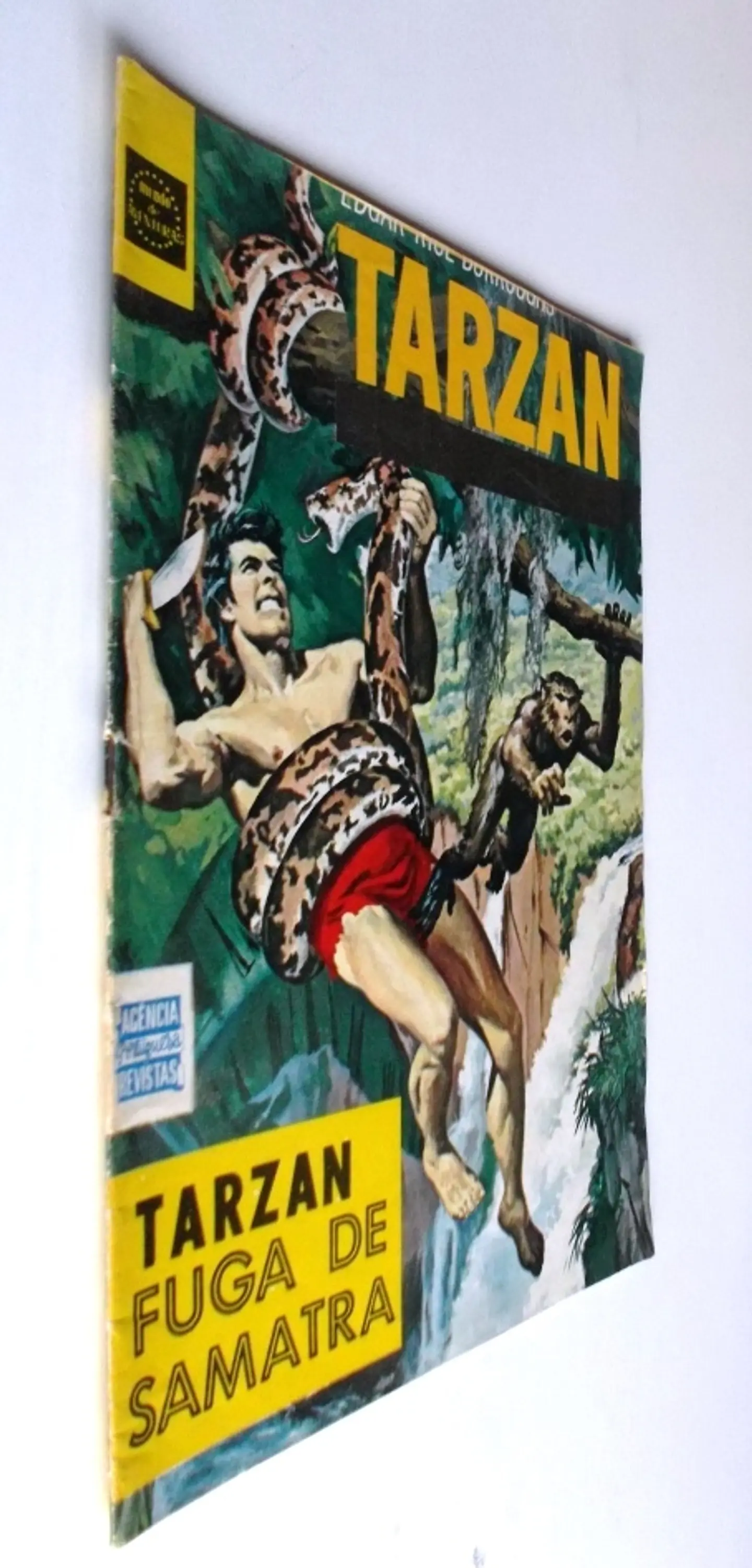 Tarzan 37 3