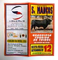 Corrida de Toiros - S. Manços - Setembro 1997 - Thumbnail 1