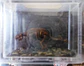Porta chaves de Dinossauros - Euplocéfalo - thumbnail 3
