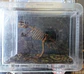 Porta chaves de Dinossauros - Tiranossauro - Thumbnail 3