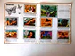 Caderneta Panorama Zoológico - Thumbnail 4