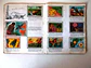 Caderneta Panorama Zoológico - Thumbnail 6