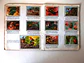 Caderneta Panorama Zoológico - Thumbnail 10