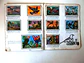 Caderneta Panorama Zoológico - Thumbnail 12