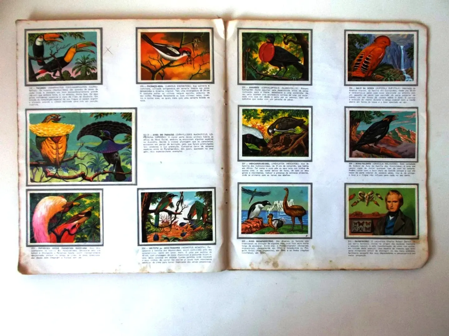 Caderneta Panorama Zoológico 17