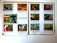 Caderneta Panorama Zoológico - Thumbnail 17