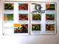Caderneta Panorama Zoológico - Thumbnail 19