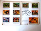Caderneta Panorama Zoológico - Thumbnail 24