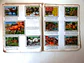 Caderneta Panorama Zoológico - Thumbnail 25