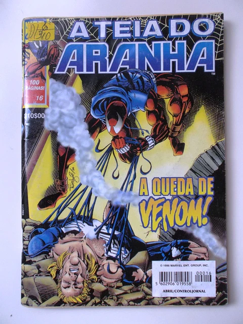 Teia do Aranha 16