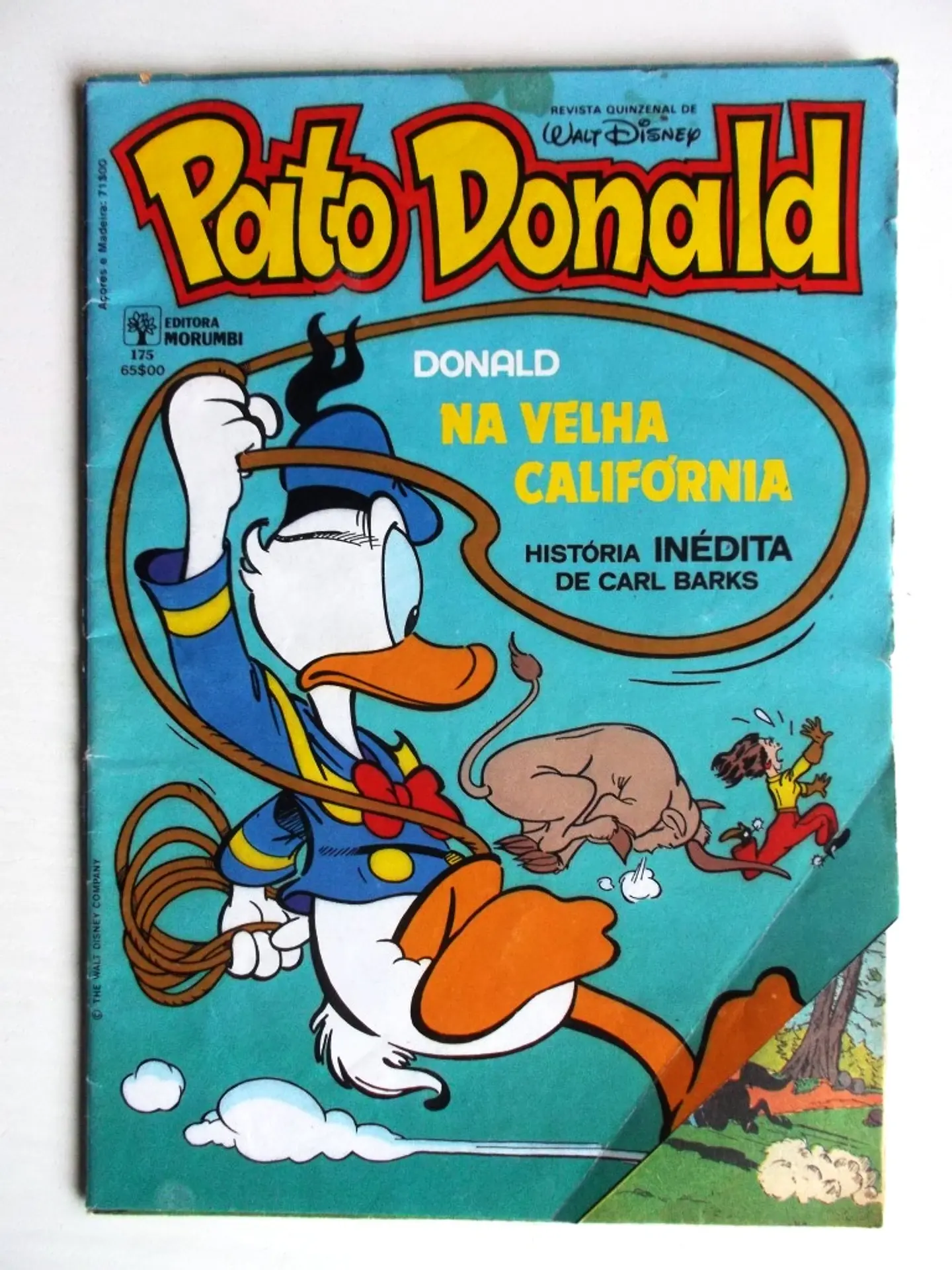 Pato Donald 175 1