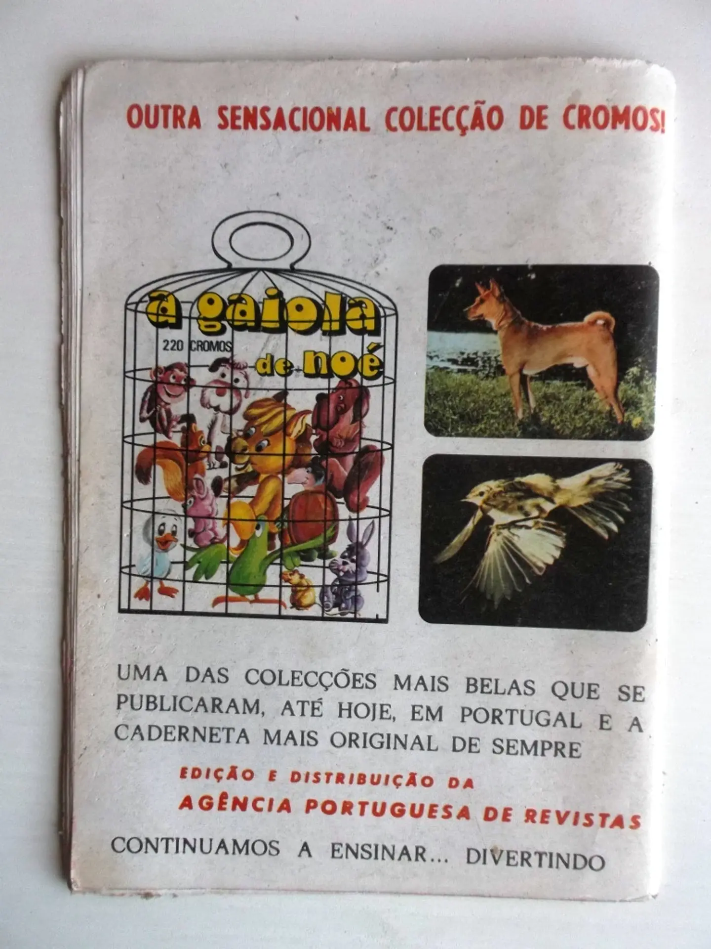 Façanhas do Oeste 157 2