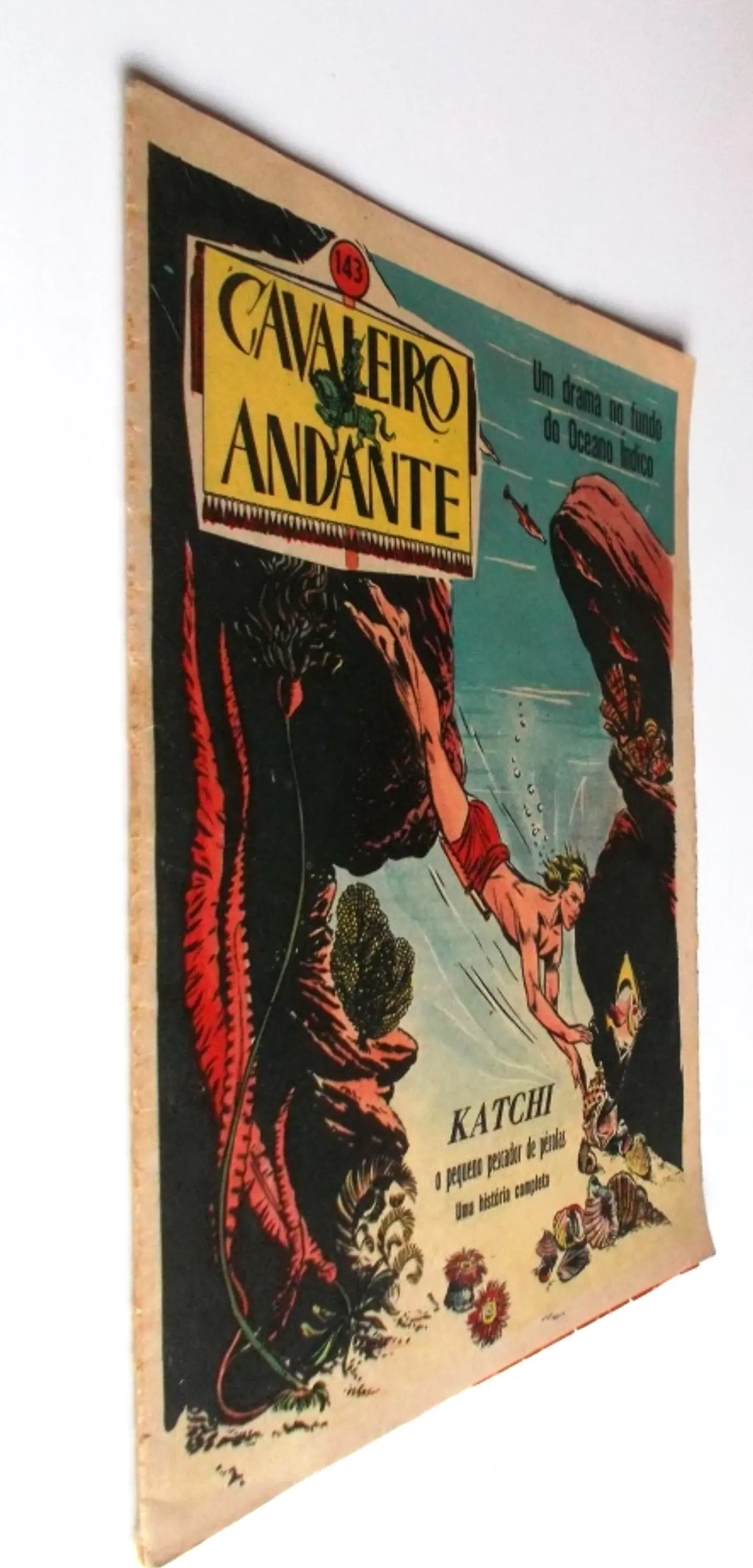Cavaleiro Andante 143 2