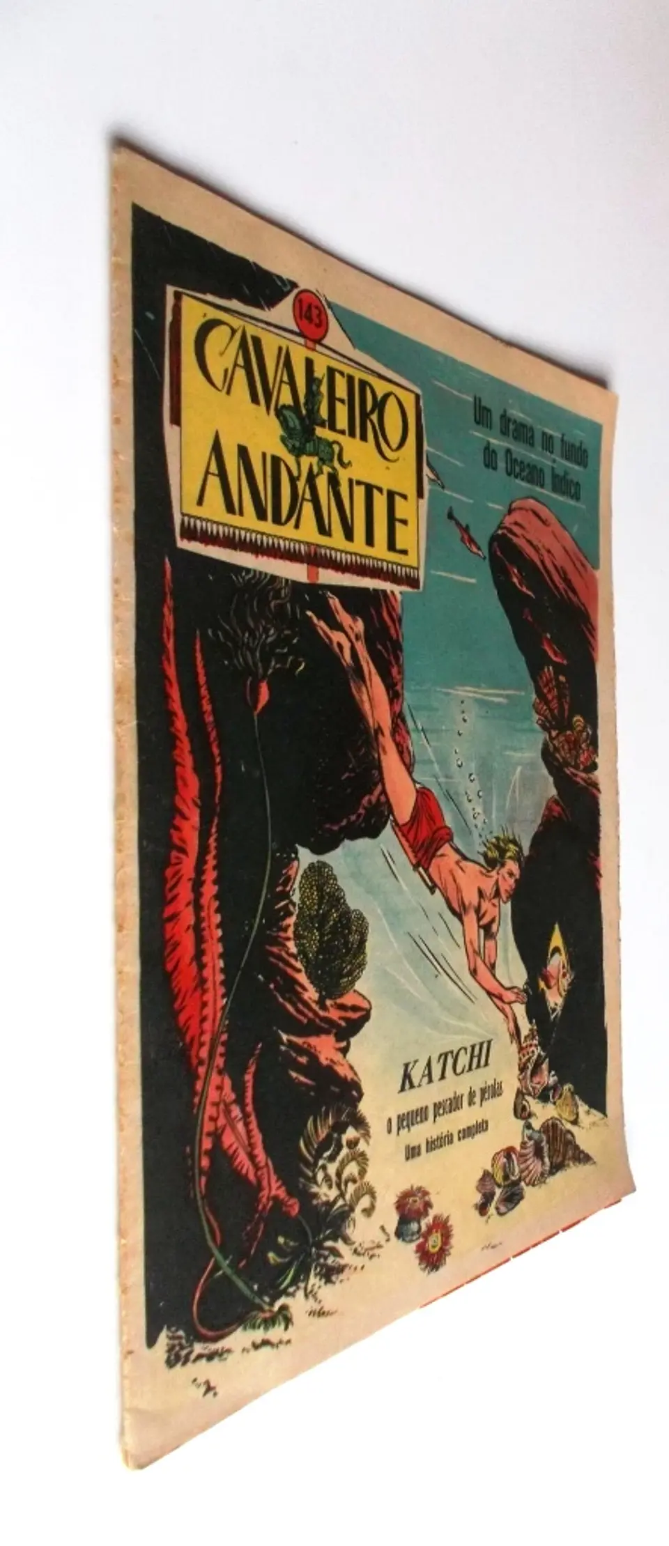 Cavaleiro Andante 143 2
