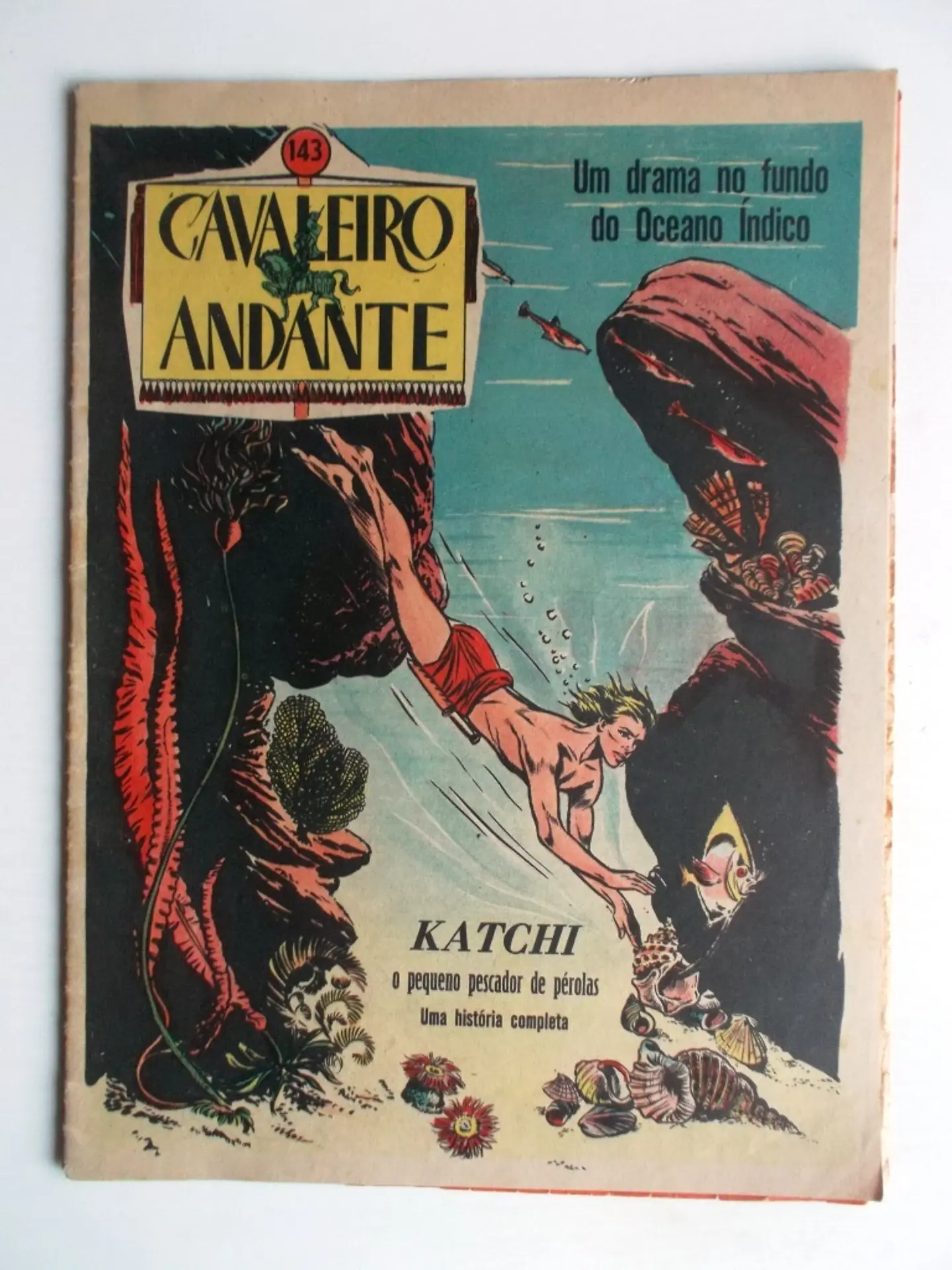 Cavaleiro Andante 143 1