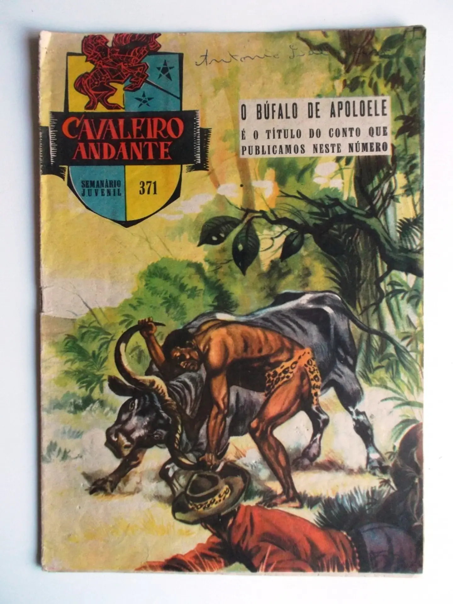 Cavaleiro Andante 371 1