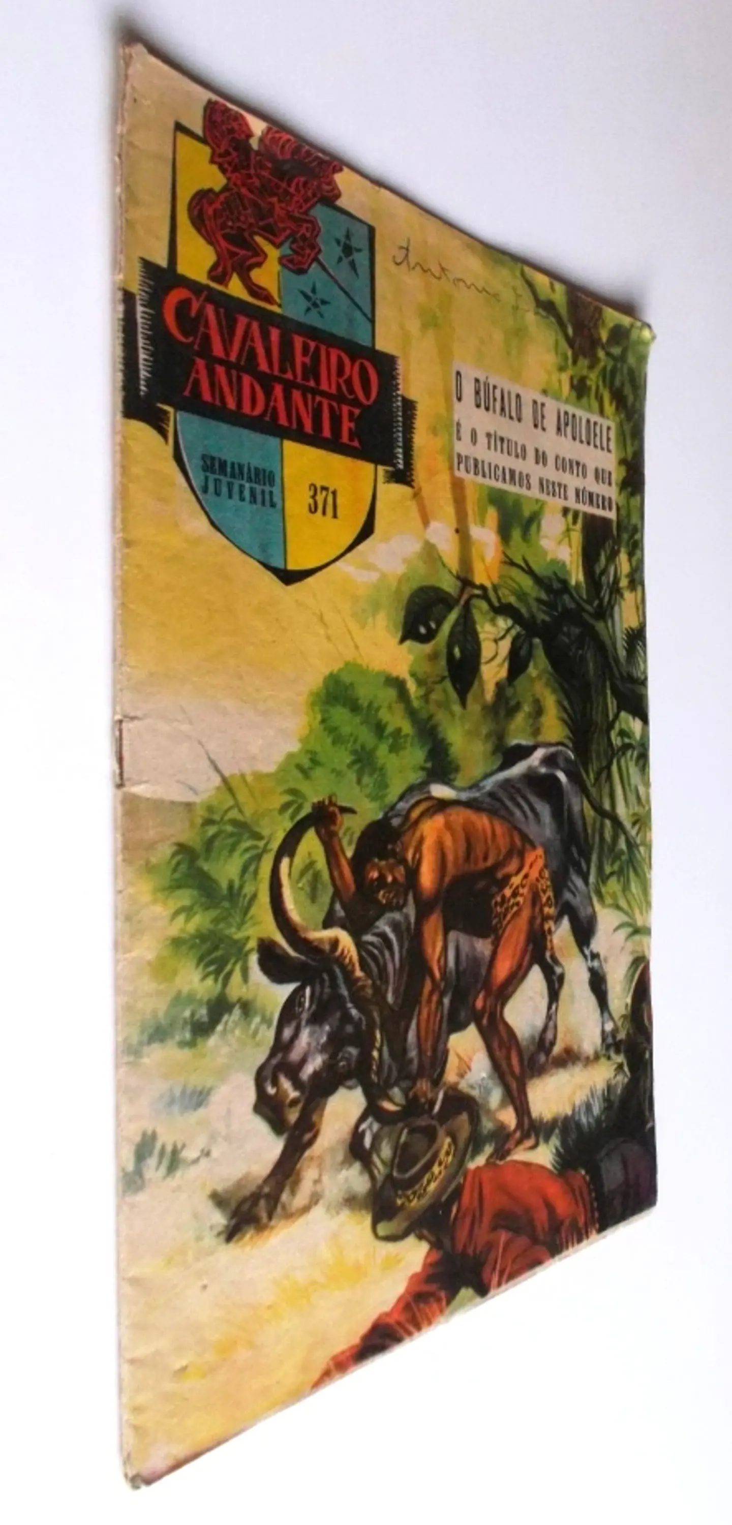Cavaleiro Andante 371 2