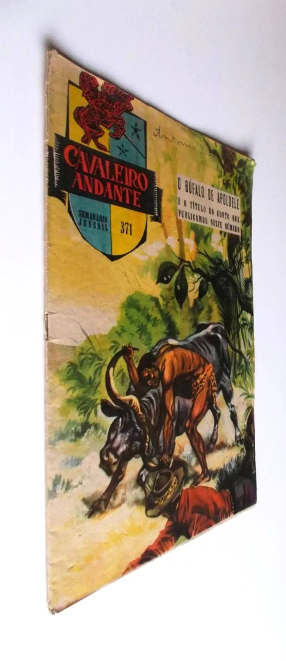 Cavaleiro Andante 371 2