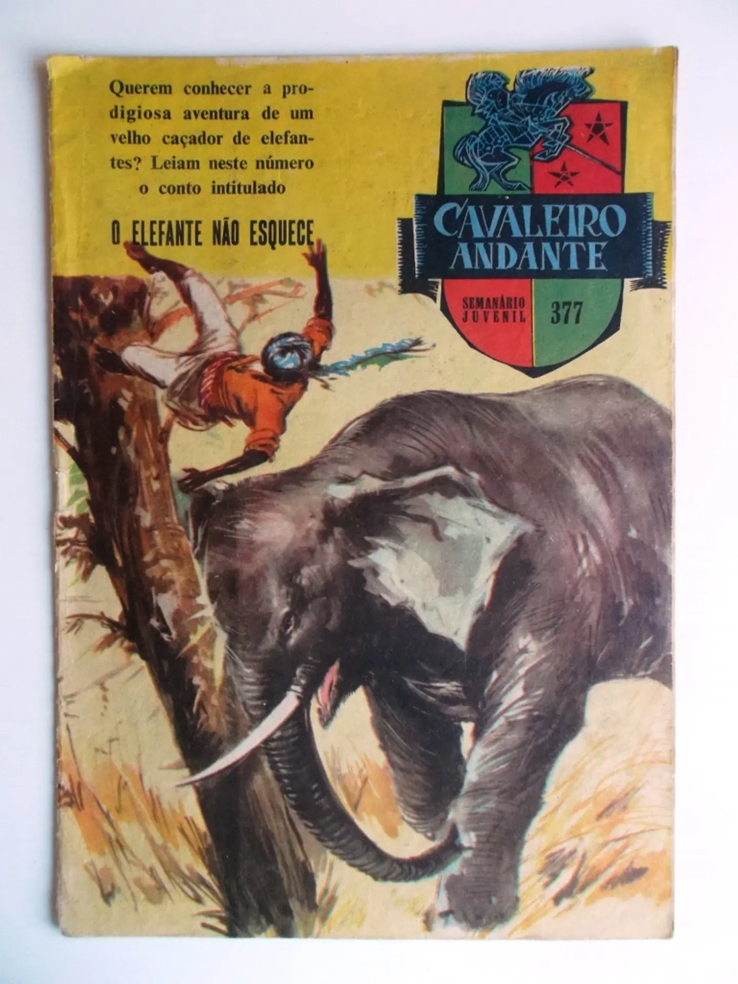 Cavaleiro Andante 377 1
