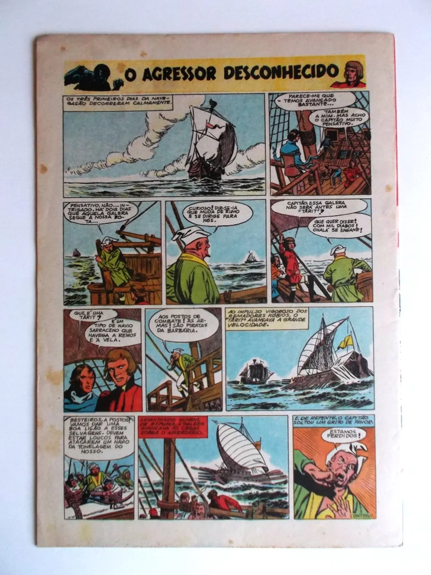 Cavaleiro Andante 503 3