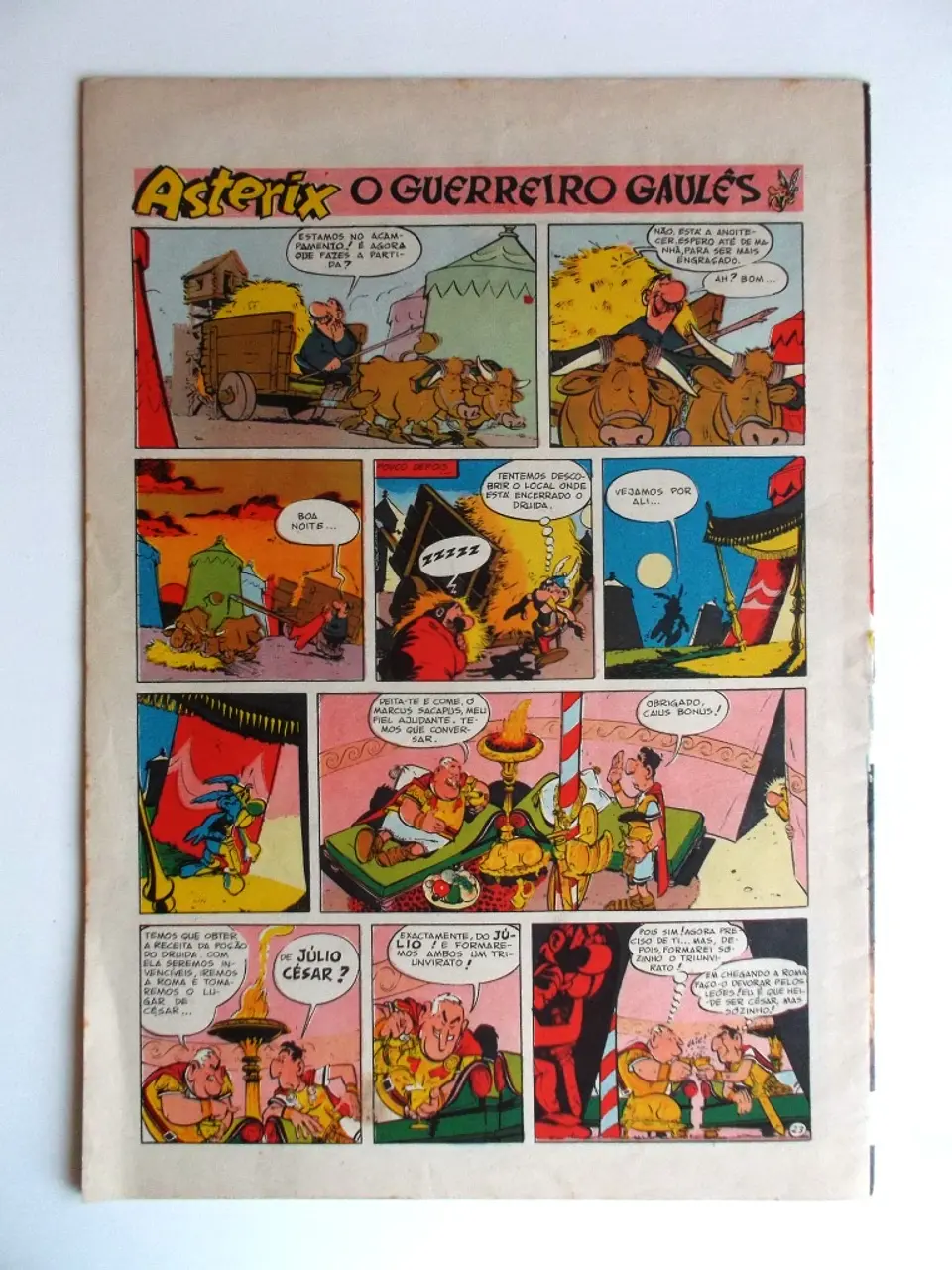 Cavaleiro Andante 514 3