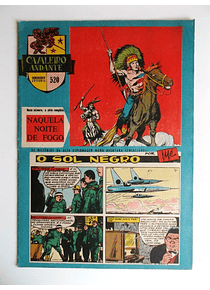 Cavaleiro Andante 520