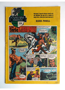 Cavaleiro Andante 534